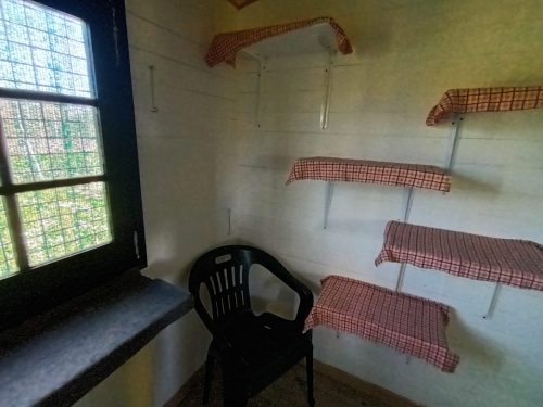 camera-pensione-gatti-hotel-di-carlotta