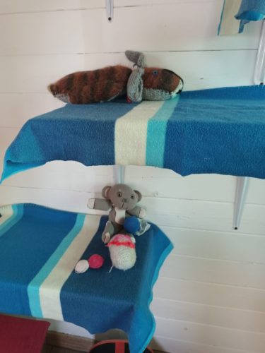 camere-gatti-hotel-di-carlotta