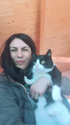 ospiti-pensione-gatti-cani-hotel-di-carlotta