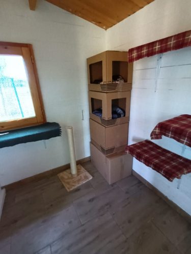 pensione-gatti-hotel-carlotta